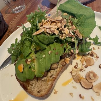 The Rose Establishment - Mushroom Avocado Toast - Coffee & Tea Near Me - Salt Lake City, Utah The Rose Establishment - Mushroom Avocado Toast - Coffee & Tea Near Me - Salt Lake City, Utah