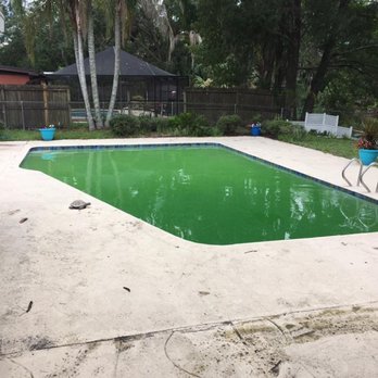 Triple J Pool Care - Before - Pool Cleaners Near Me - Valrico, Florida