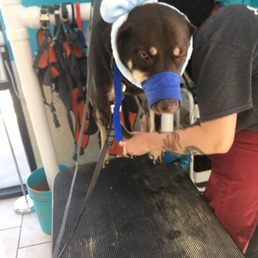 Calmest nail trim ever!