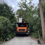 Photo of Jackson Tree Service