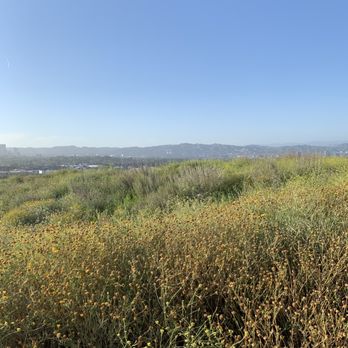 Culver City Park - View of the surroundings - Parks Near Me - Culver City, California