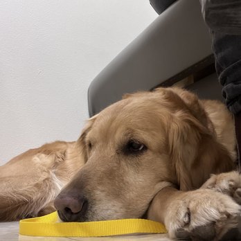 Perrinville Animal Hospital - Veterinarians Near Me - Edmonds, Washington Perrinville Animal Hospital - Veterinarians Near Me - Edmonds, Washington