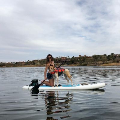 Lake Las Vegas Water Sports by null