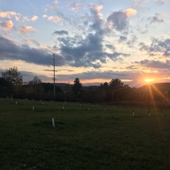 New Life Lavender & Cherry Farm - Newly planted cherry trees under a beautiful setting sun! - Attraction Farms Near Me - Baraboo, Wisconsin New Life Lavender & Cherry Farm - Newly planted cherry trees under a beautiful setting sun! - Attraction Farms Near Me - Baraboo, Wisconsin