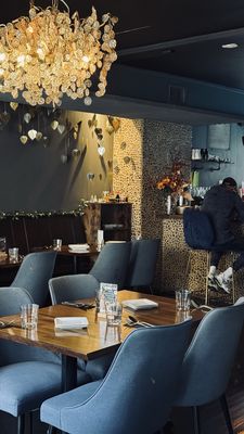 Bodhi Federal Hill by null