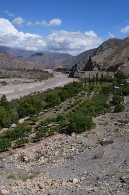 Quebrada de Humahuaca by null