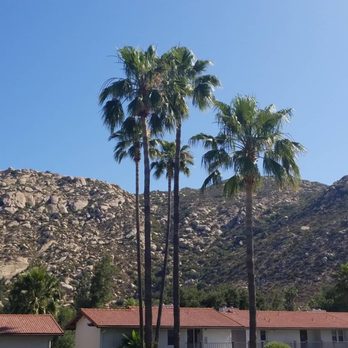 Riviera Oaks by Diamond Resorts - Views - Hotels Near Me - Ramona, California Riviera Oaks by Diamond Resorts - Views - Hotels Near Me - Ramona, California
