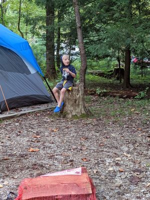 Cades Cove Campground by null