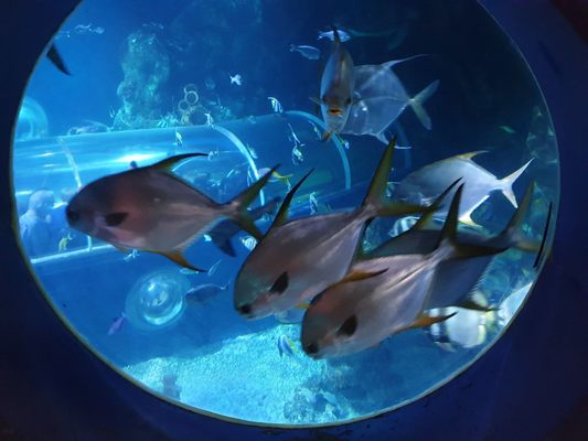 SEA LIFE Konstanz by null