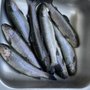 Photo of Ozark Trout Runners