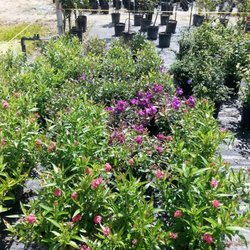 Dixie Acres Garden Center