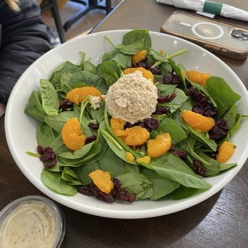 Nate's Deli - Spinach Salad with Tuna Salad - Delis Near Me - Fairview Park, Ohio Nate's Deli - Spinach Salad with Tuna Salad - Delis Near Me - Fairview Park, Ohio