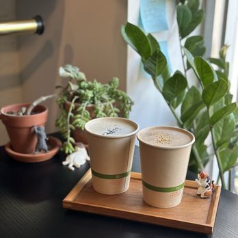 Kijitora - Coffee & Tea Near Me - Brooklyn, New York Kijitora - Coffee & Tea Near Me - Brooklyn, New York