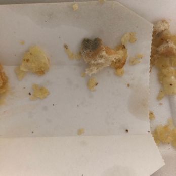 Los Verdes - Moldy bread - Colombian Near Me - Miami Lakes, Florida Los Verdes - Moldy bread - Colombian Near Me - Miami Lakes, Florida