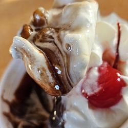 Richee Freeze - A spoonful of the ice cream sundae with soft vanilla ice cream and chocolate syrup.