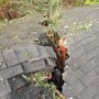 Photo of Platinum Contracting