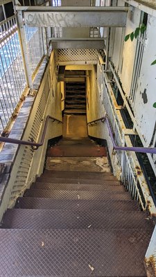 Chicago Transit Authority by null