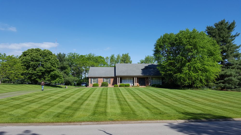 Southpaw Landscaping - tree service in Lexington, KY