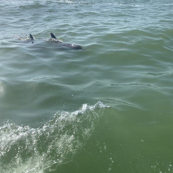 Makin Waves - Bike Rentals Near Me - Clearwater, Florida