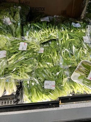 K&S World Market by null