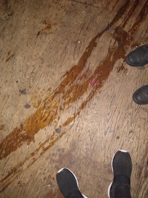 Happyfun Hideaway by null