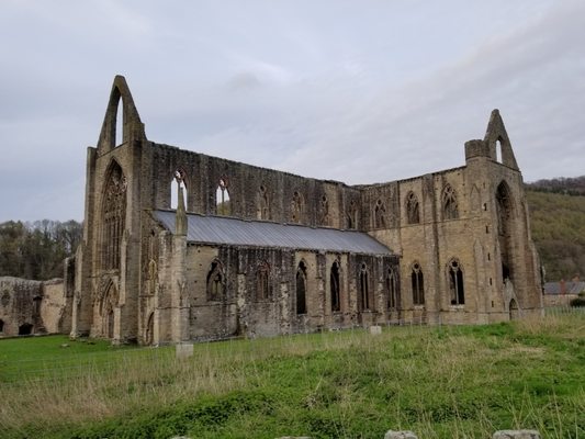 Tintern Abbey by null