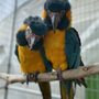 Photo of Columbus Zoo