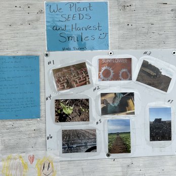 Hall Farms - Storyboard - Farms Near Me - Rock, Michigan