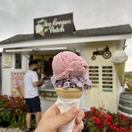 Ice cream Double Scoop ($8) - Strawberry and blueberry fresh fruit! Ice cream Double Scoop ($8) - Strawberry and blueberry fresh fruit!