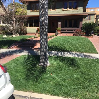 Grass Monkey Lawn Service - Stripe work - Lawn Services Near Me Grass Monkey Lawn Service - Stripe work - Lawn Services Near Me