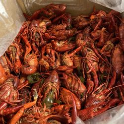These are the crawfish we got from Dewy Dew Bugz!!