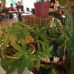 Happy Garden Cafe