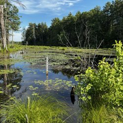 Assabet River National Wildlife Refuge