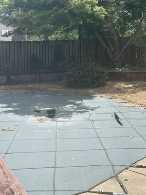 Total Pools and Service