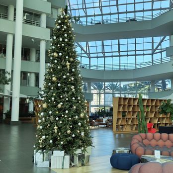 Cassel Earth Coffee - Atrium - Coffee & Tea Near Me - Irvine, California