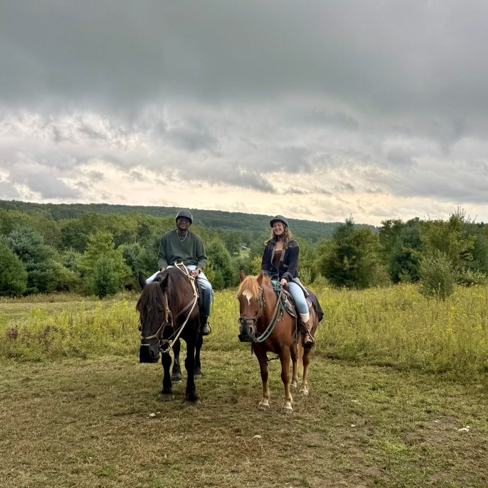 Mountain Rose Farm - Scenic photo stop - Horseback Riding Near Me - Savona, New York Mountain Rose Farm - Scenic photo stop - Horseback Riding Near Me - Savona, New York