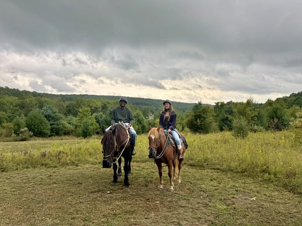 Mountain Rose Farm - equestrian in Savona, NY
