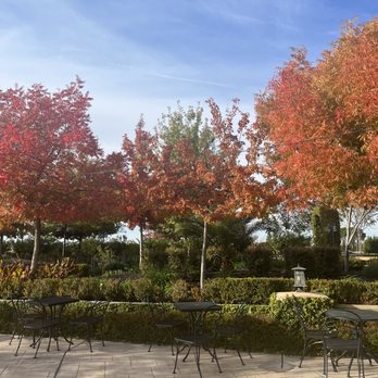 Wolfe Heights Estates and Winery - Venues & Event Spaces Near Me - Vineyard, California Wolfe Heights Estates and Winery - Venues & Event Spaces Near Me - Vineyard, California
