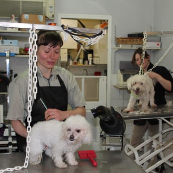 Happy Dogs - Pet Groomers Near Me - Vincennes, 94 Happy Dogs - Pet Groomers Near Me - Vincennes, 94