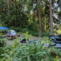 Riffe Lake Campground