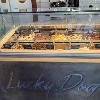 Lucky Dog Gelato - Ice Cream & Frozen Yogurt Near Me - San Clemente, California Lucky Dog Gelato - Ice Cream & Frozen Yogurt Near Me - San Clemente, California