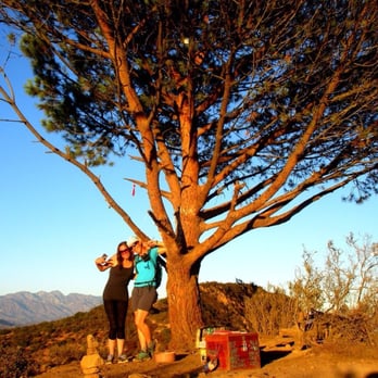Cahuenga Peak - Me and Stephanie P at the Wisdom Tree! @ Cahuenga Peak - 9/13/15 - Hiking Near Me - Los Angeles, California Cahuenga Peak - Me and Stephanie P at the Wisdom Tree! @ Cahuenga Peak - 9/13/15 - Hiking Near Me - Los Angeles, California
