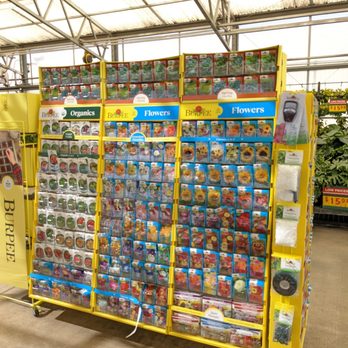 H E B Plus - Vegetable seeds. - Grocery Near Me - Kyle, Texas
