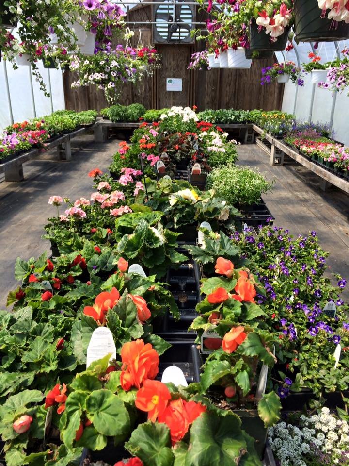 CHIPMAN FARM GRAY STAND 69 Shaker Rd, Gray, ME Yelp