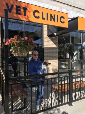 montgomery village veterinary clinic