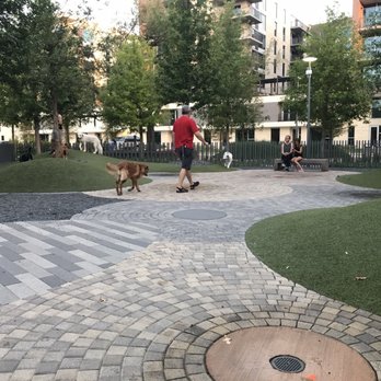 Levy Park - Big dog park - Dog Parks Near Me - Houston, Texas