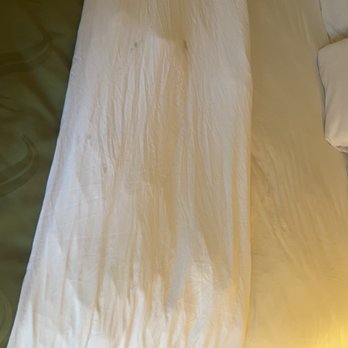 Quality Suites - Second room mildewed/molded bed linens - Hotels Near Me - Morristown, Tennessee Quality Suites - Second room mildewed/molded bed linens - Hotels Near Me - Morristown, Tennessee