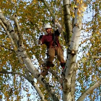 Cutting Edge Tree Service - Tree Services Near Me Cutting Edge Tree Service - Tree Services Near Me