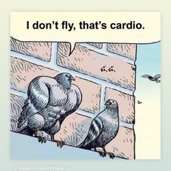 LA Fitness