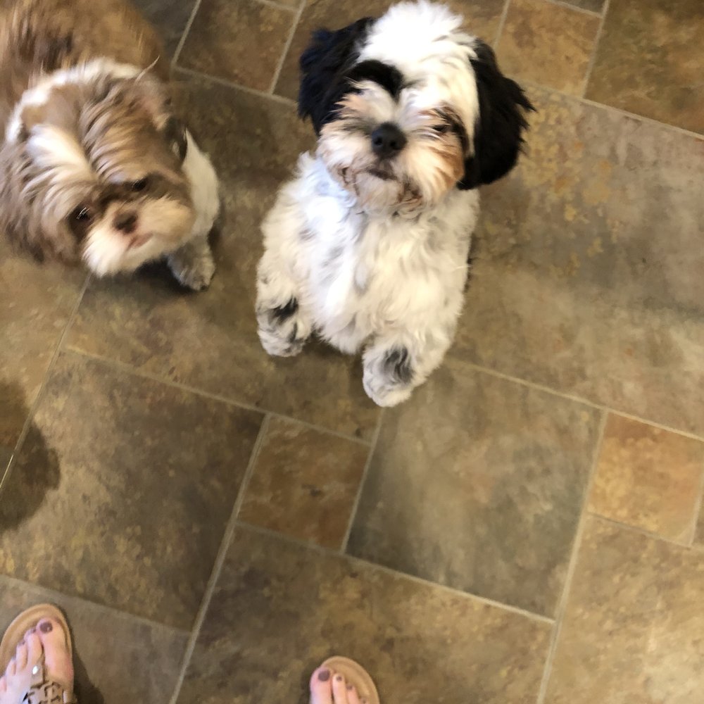 Pet Fair - Pet Stores Near Me - Spring, Texas